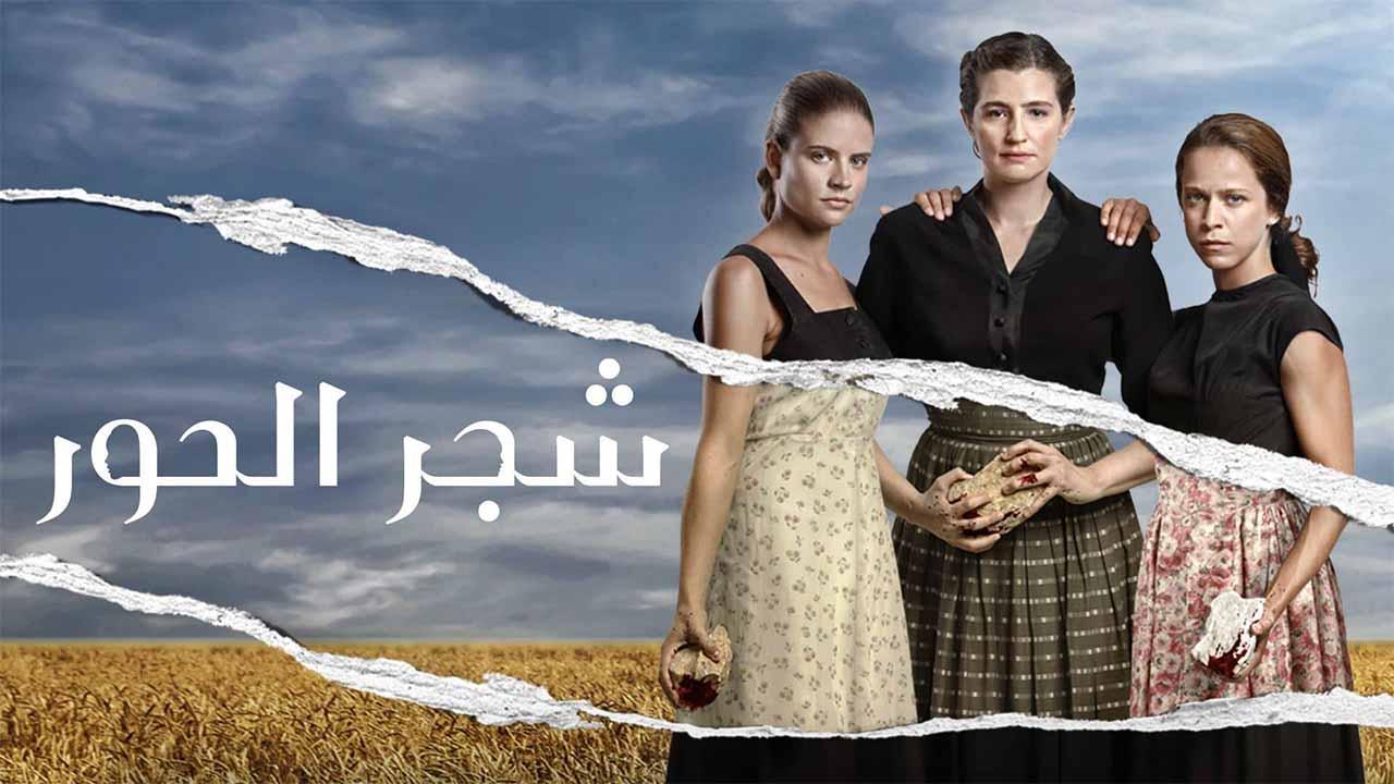 مسلسل شجر الحور الحلقة 9 التاسعة مدبلجة قصة عشق